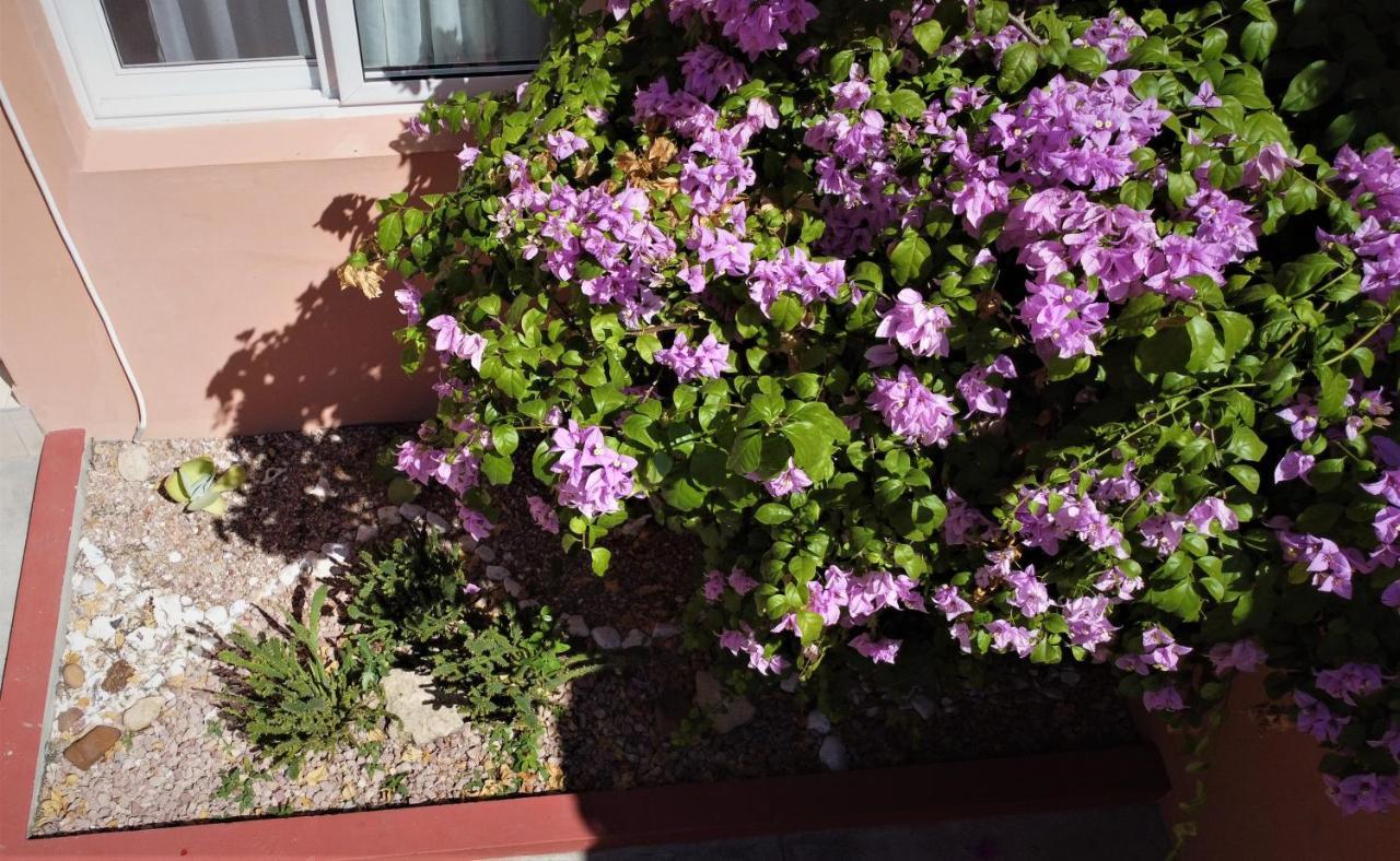 מאפוטו Wonna Bay Vila Lodge-Catembe מראה חיצוני תמונה